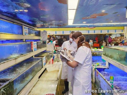 北京因疫情多地進(jìn)入戰(zhàn)時(shí)狀態(tài) 專(zhuān)家 這輪病毒或來(lái)自歐洲